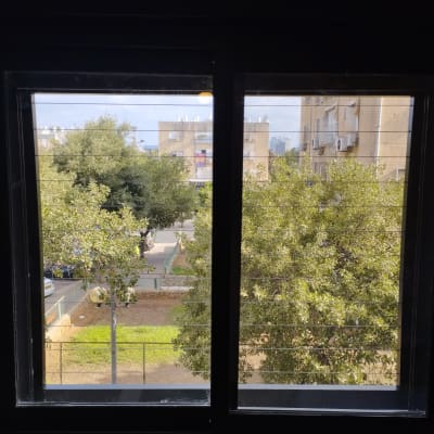 חלון אלומיניום עם נוף חיצוני ועצים