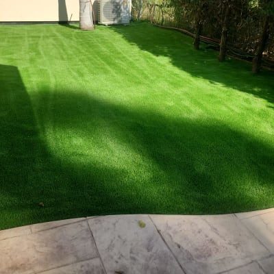 דשא ירוק מטופח עם גדר חיה בצד