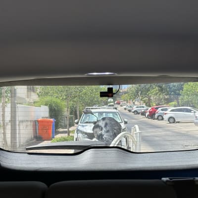 מבט אחורי מתוך רכב חונה ברחוב עירוני