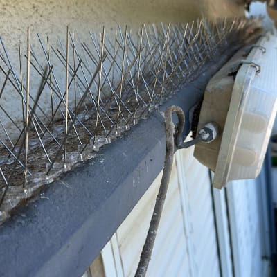 דוקרנים למניעת יונים על קיר חיצוני