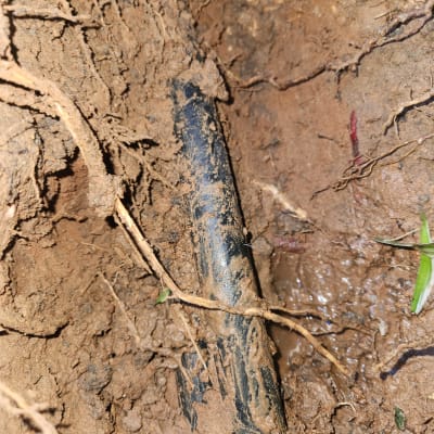 צינור מושחל באדמה עם בוץ וענפים