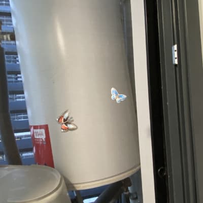 מיכל אלומיניום עם מדבקות פרפרים