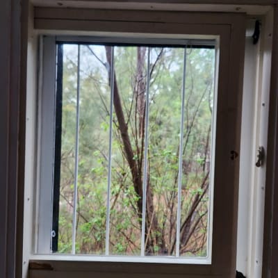 חלון עם סורגים ועצים ברקע