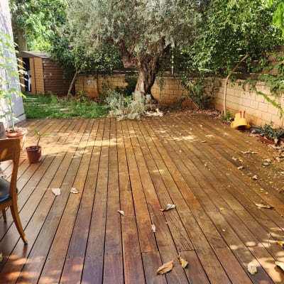 דק עץ בגינה עם עלים יבשים ועץ גדול