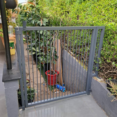 שער מתכת בגינה עם צמחים מסביב