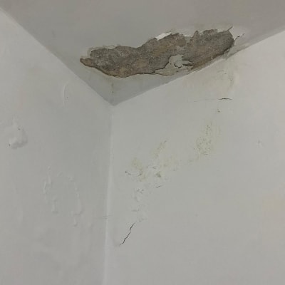 קיר עם קילופי צבע ונזקי רטיבות