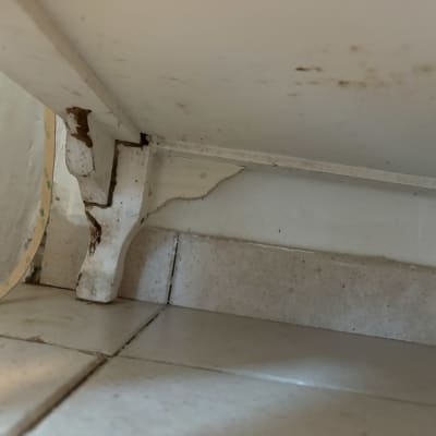 פינה מתחת לכיור עם סימני רטיבות ועובש