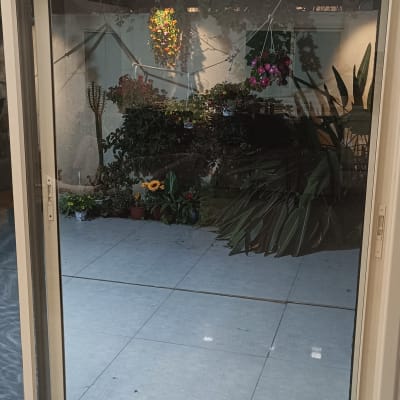 דלת זכוכית עם נוף לגינה ופרחים תלויים