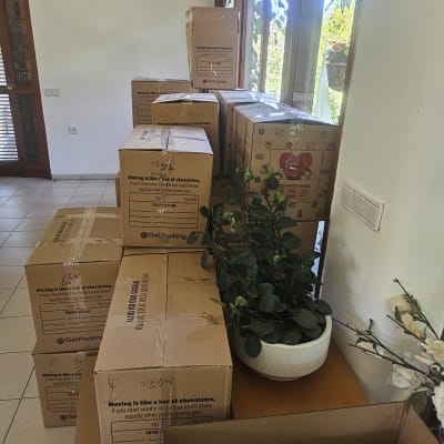 קופסאות קרטון מסודרות ליד חלון עם צמח בעציץ