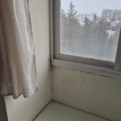 עובש על קיר ליד חלון, בעיית איטום