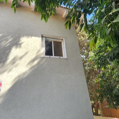 חלון עם רשת למניעת כניסת יונים