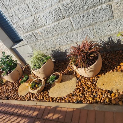 עציצים עם צמחים על חצץ ליד קיר אבן