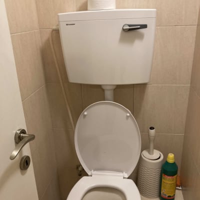 אסלה פתוחה עם מיכל הדחה ומברשת ניקוי