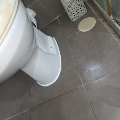 שירותים עם רצפת אריחים ומברשת ניקוי