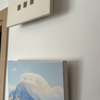 מתג חשמלי על קיר ליד תמונה של הרים