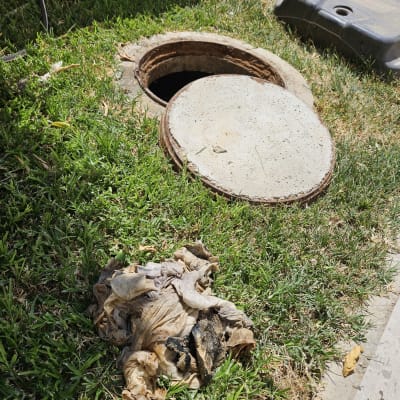 פתח ביוב פתוח עם מכסה בטון על דשא