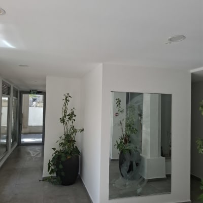 קיר מחיצת גבס לבן עם חלון ותקרת גבס מונמכת במשרד