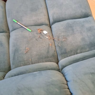 ספה עם לכלוך ושערות, עט ירוק מונח עליה