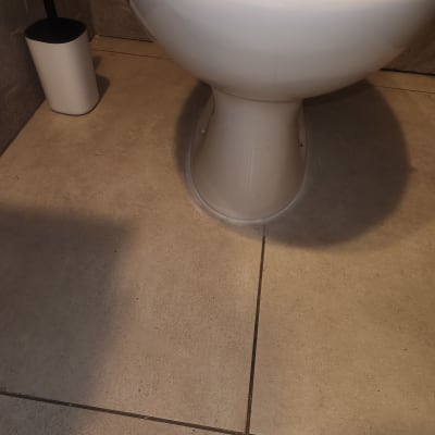 אסלה על רצפת אריחים עם מברשת שירותים