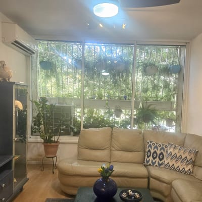 סורגי אלומיניום בחלון עם עציצים תלויים