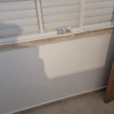 עבודות צבע וטיח