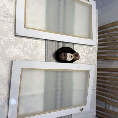 שני לוחות זכוכית עם מסגרת לבנה על רקע פרחוני