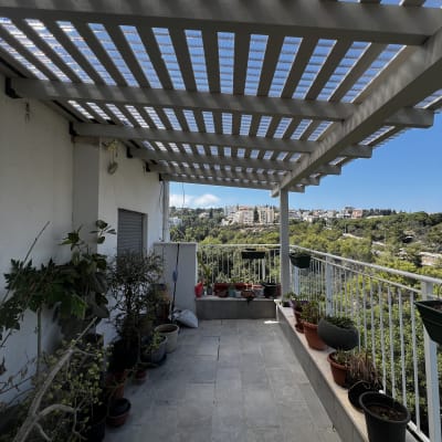 פרגולה עם עציצים במרפסת