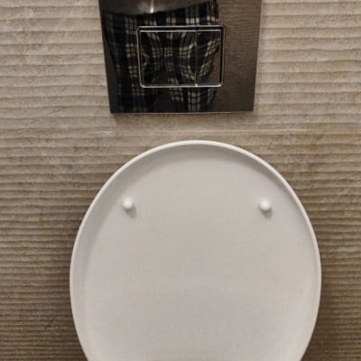 אסלה עם לחצן הדחה מתכת על קיר