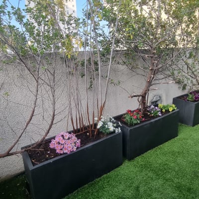 עציצים עם פרחים ועצים על דשא סינתטי