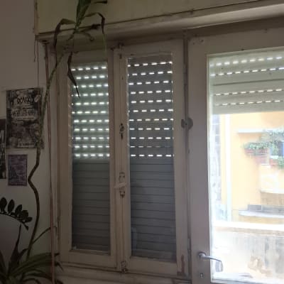 חלון ודלת עם תריסים סגורים וצמחייה לידם