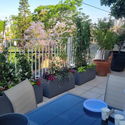 עציצים עם פרחים וצמחים על מרפסת