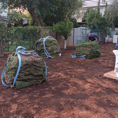 ערימות דשא מגולגלות על אדמה כהה בגינה