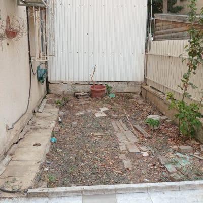 גינה קטנה עם עציצים וצמחים מטפסים