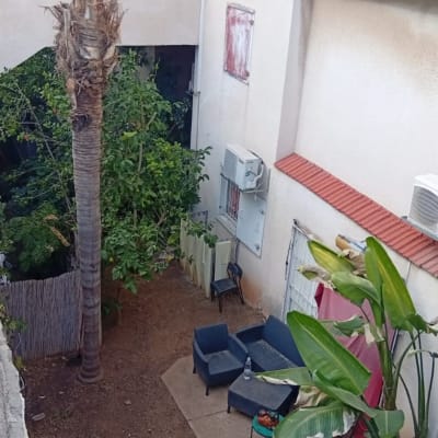 חצר עם כיסאות, שולחן ועצים