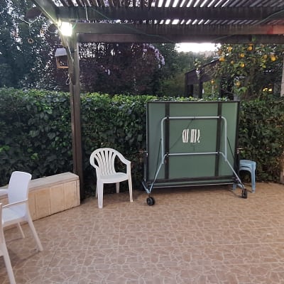 שיחים ירוקים וגדר חיה ליד שולחן וכיסאות בגינה