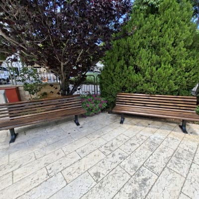 שני ספסלים מעץ בגינה עם צמחייה
