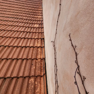 גג רעפים חום עם כתמי לכלוך וענפים יבשים