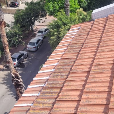 גג רעפים חום עם כתמים לבנים