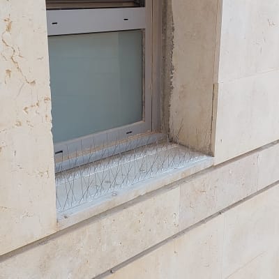 דוקרנים למניעת יונים על אדן חלון