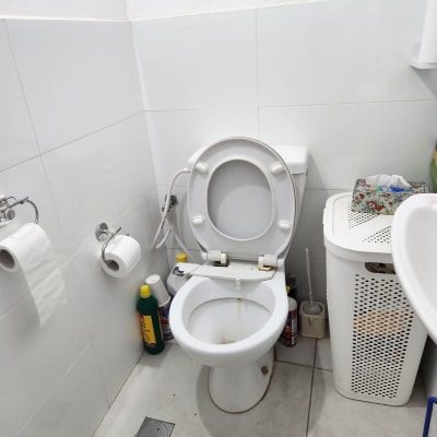 אסלה עם חומרי ניקוי ומברשת שירותים