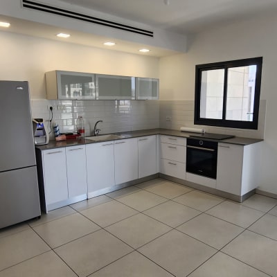 מטבח עם כיור, סבון כלים ומטלית ניקוי