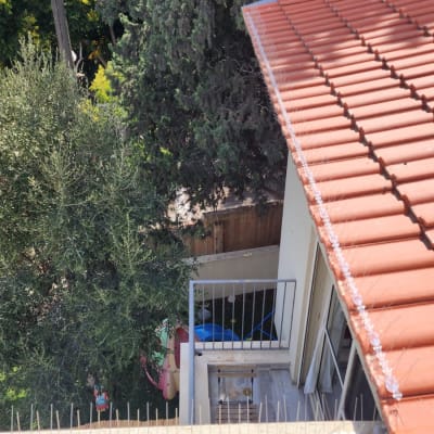 דוקרנים על גג למניעת קינון יונים