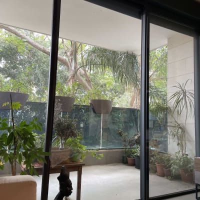 חלונות זכוכית גדולים עם צמחים במרפסת