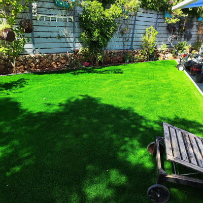 דשא ירוק, עציצים תלויים, מכסחת דשא, צמחים מטפסים