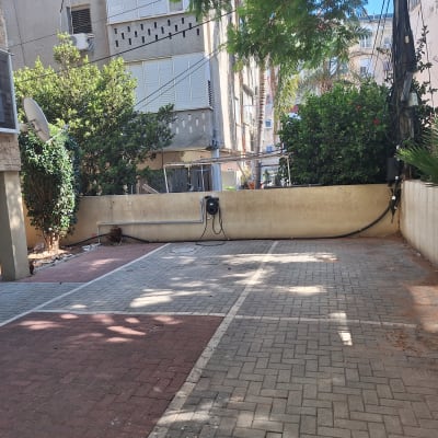 שיחים ירוקים ליד קיר בטון בחצר מרוצפת