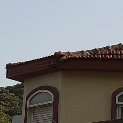 גג רעפים חום עם קצה פגום