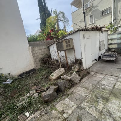 גינה עם עצים ושיחים לאחר גיזום