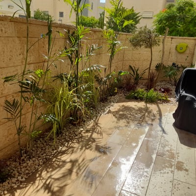 צמחים ירוקים וקטנים לאורך קיר אבן בגינה קטנה