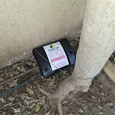 תיבת פיתיון להדברת מזיקים ליד עץ