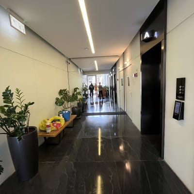 מסדרון עם צמחים וכלי ניקוי על ספסל